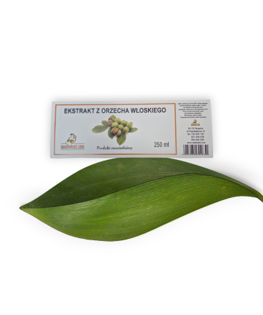 Nalewka z  zielonego orzecha włoskiego  250 ml